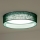 Duolla - LED-Deckenleuchte ROLLER LED/24W/230V d 45 cm grün