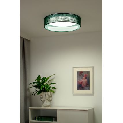 Duolla - LED-Deckenleuchte ROLLER LED/24W/230V d 45 cm grün