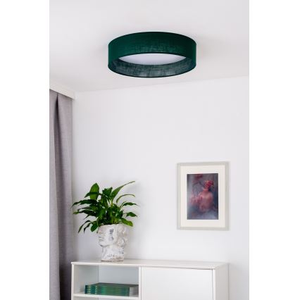 Duolla - LED-Deckenleuchte ROLLER LED/24W/230V d 45 cm grün