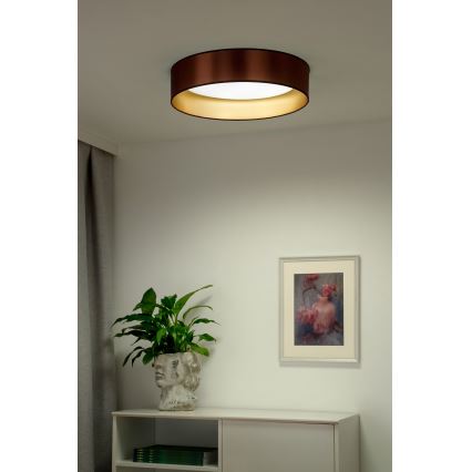 Duolla - LED-Deckenleuchte ROLLER LED/24W/230V d 45 cm kupfern/golden
