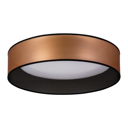 Duolla - LED-Deckenleuchte ROLLER LED/24W/230V d 45 cm kupfern/schwarz