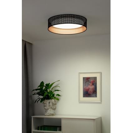 Duolla - LED-Deckenleuchte ROLLER LED/24W/230V d 45 cm schwarz/kupfern