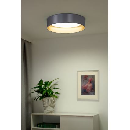 Duolla - LED-Deckenleuchte ROLLER LED/24W/230V d 45 cm silbern/golden