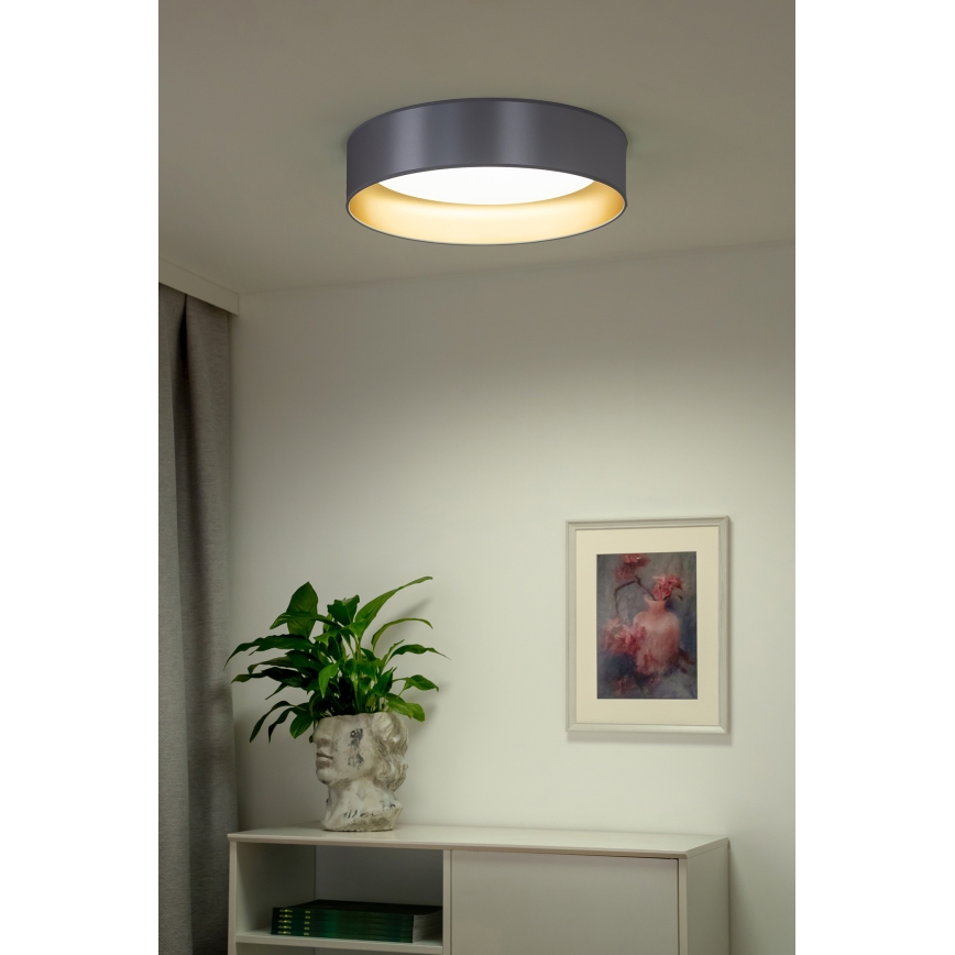 Duolla - LED-Deckenleuchte ROLLER LED/24W/230V d 45 cm silbern/golden