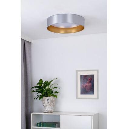 Duolla - LED-Deckenleuchte ROLLER LED/24W/230V d 45 cm silbern/golden