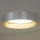 Duolla - LED-Deckenleuchte ROLLER LED/24W/230V d 45 cm silbern/golden