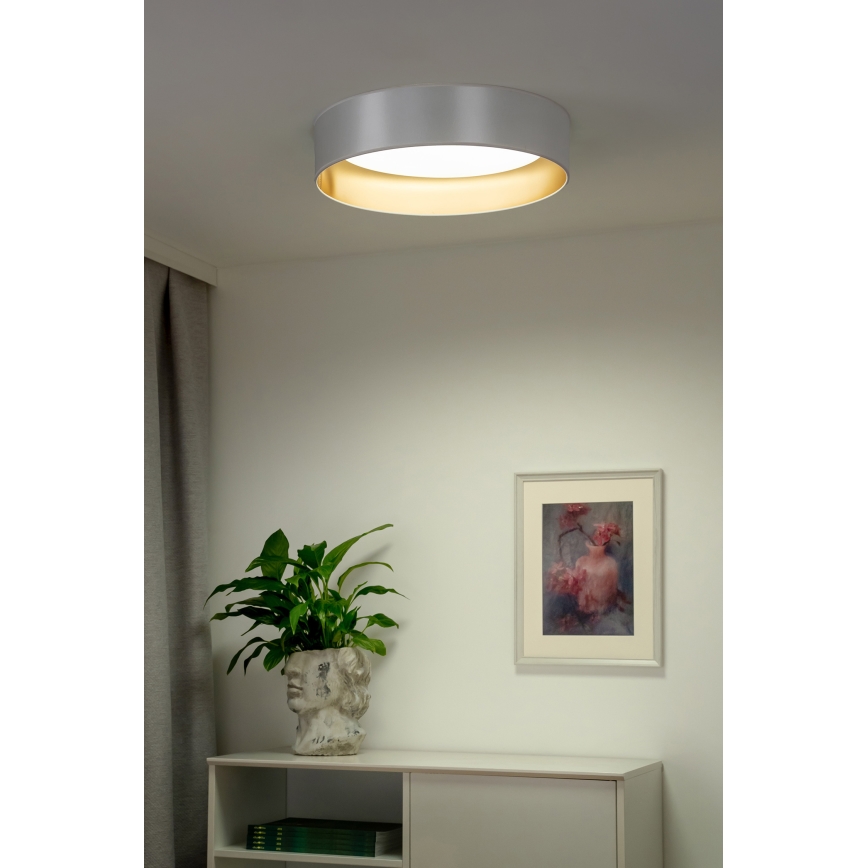 Duolla - LED-Deckenleuchte ROLLER LED/24W/230V d 45 cm silbern/golden