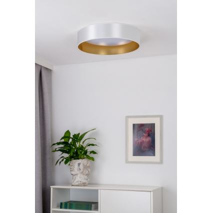 Duolla - LED-Deckenleuchte ROLLER LED/24W/230V d 45 cm silbern/golden