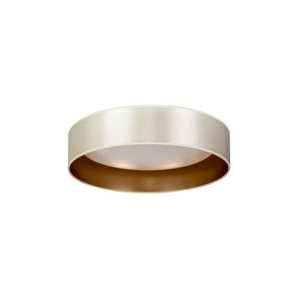 Duolla - LED-Deckenleuchte ROLLER LED/24W/230V d 45 cm silbern/golden