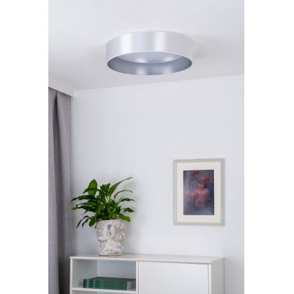 Duolla - LED-Deckenleuchte ROLLER LED/24W/230V d 45 cm silbern