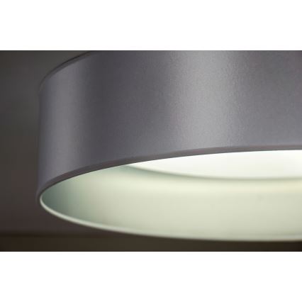 Duolla - LED-Deckenleuchte ROLLER LED/24W/230V d 45 cm silbern