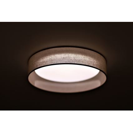 Duolla - LED-Deckenleuchte ROLLER LED/24W/230V Leuchte d 45 cm grau