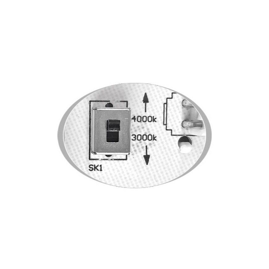 LED-Deckenleuchte für Außenbereiche MARTIN LED/15W/230V 3000/4000K d 30 cm IP65 schwarz