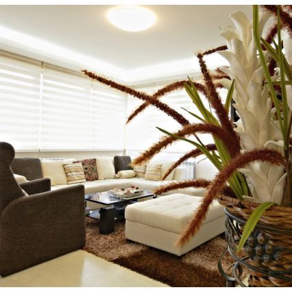 LED Dimmbares Deckenleuchte DIAMANT LED/50W/230V + Fernbedienung