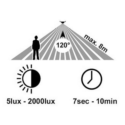 LED-Outdoor-Wandleuchte mit Sensor RITA LED/12W/230V 4000K IP65