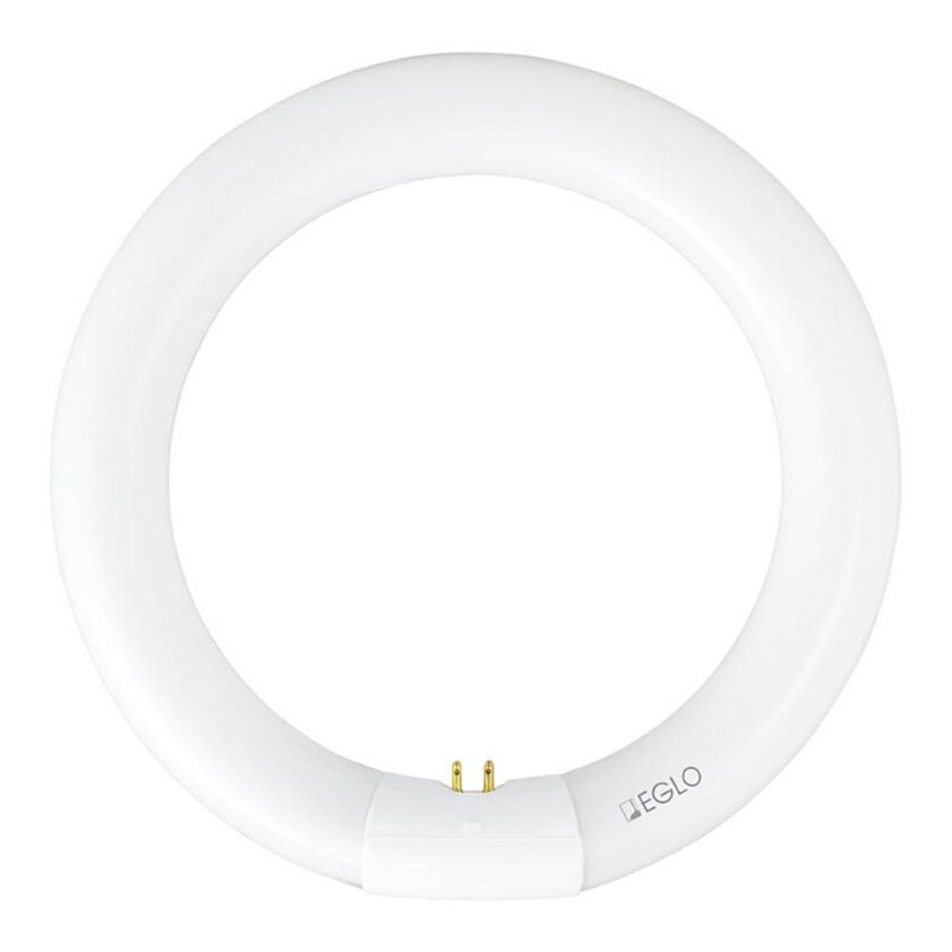 EGLO 12404 - Leuchtstoffröhre G10Q/22W/230V RING 2700K