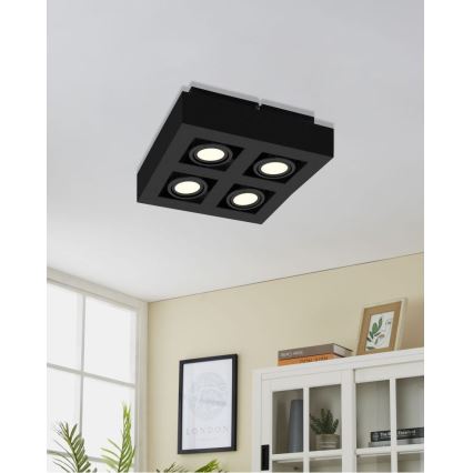Eglo 31065 - LED-Spotleuchte MENDOZA 4xLED/4,7W/230V 3000K schwarz