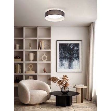 Eglo - LED Deckenleuchte 1xLED/12W/230V