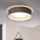 Eglo 31623 - LED-Deckenleuchte MASERLO LED/16W/230V 3000K Ø 40,5 cm grau/silber
