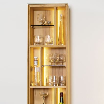 Eglo - LED RGB Streifen 5m STRIPE-C LED/19W/230V