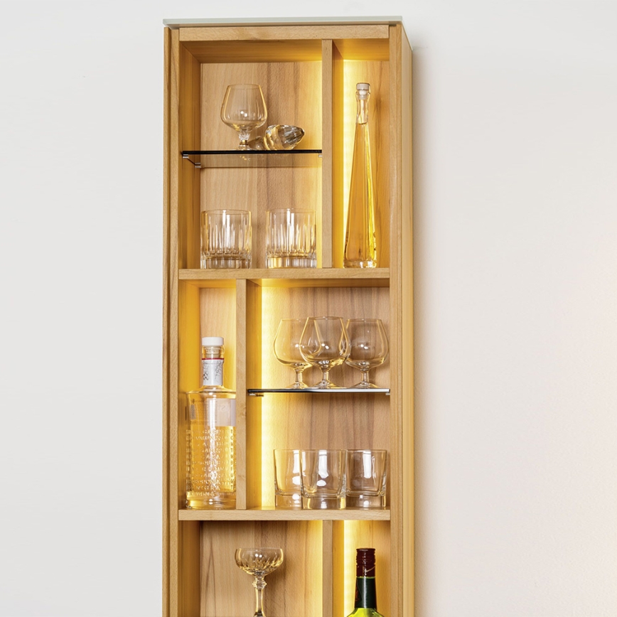 Eglo - LED RGB Streifen 5m STRIPE-C LED/19W/230V