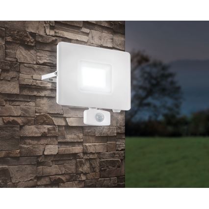 Eglo - LED-Flutlicht mit Sensor LED/50W/230V IP44