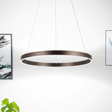 Eglo 33483 - LED-Pendelleuchte mit Seilaufhängung ALCAZABA 2xLED/18W/230V 3000K Ø 55 cm bronzefarben