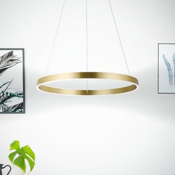 Eglo 33484 - LED-Hängeleuchte mit Seilaufhängung ALCAZABA 2xLED/18W/230V 3000K Ø 55 cm goldfarben