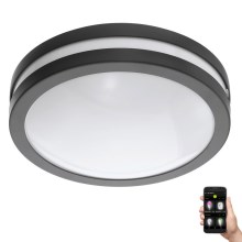 Eglo 33571 - Dimmbare LED-Leuchte für das Badezimmer LOCANA-C LED/14W/230V IP44 schwarz
