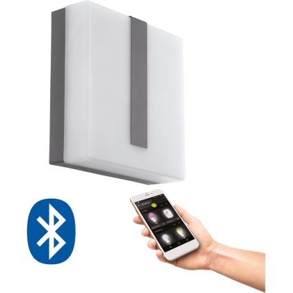Eglo 33574 - LED Dimmbares Außenwandleuchte TORAZZA-C LED/14W/230V IP44