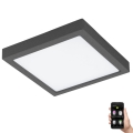 Eglo 33578 - Dimmbare LED-Leuchte für das Badezimmer ARGOLIS-C LED/22W/230V IP44 anthrazit