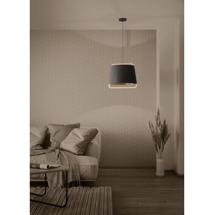 Eglo - Hängeleuchte 1xE27/40W/230V schwarz