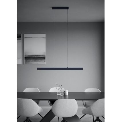 Eglo - LED dimmbare Hängeleuchte an Seil LED/20W/230V 3000K schwarz