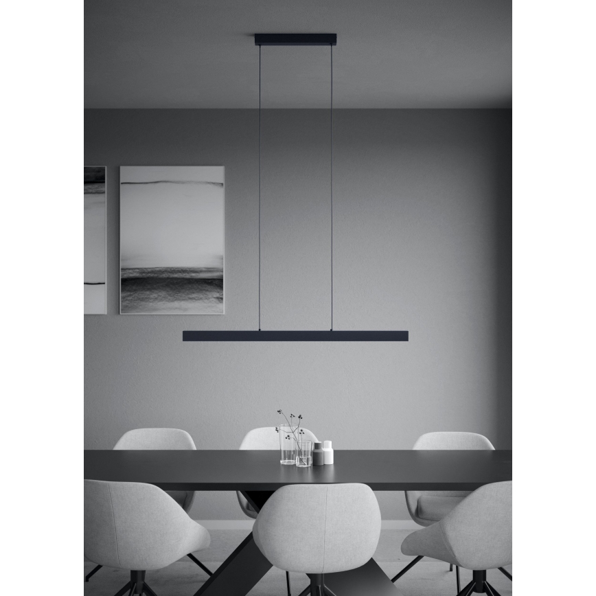 Eglo - LED dimmbare Hängeleuchte an Seil LED/20W/230V 3000K schwarz