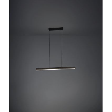 Eglo - LED dimmbare Hängeleuchte an Seil LED/20W/230V 3000K schwarz