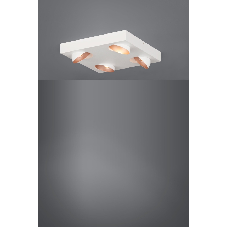 Eglo - LED Dimmbare Deckenleuchte 4xLED/3,3W/230V