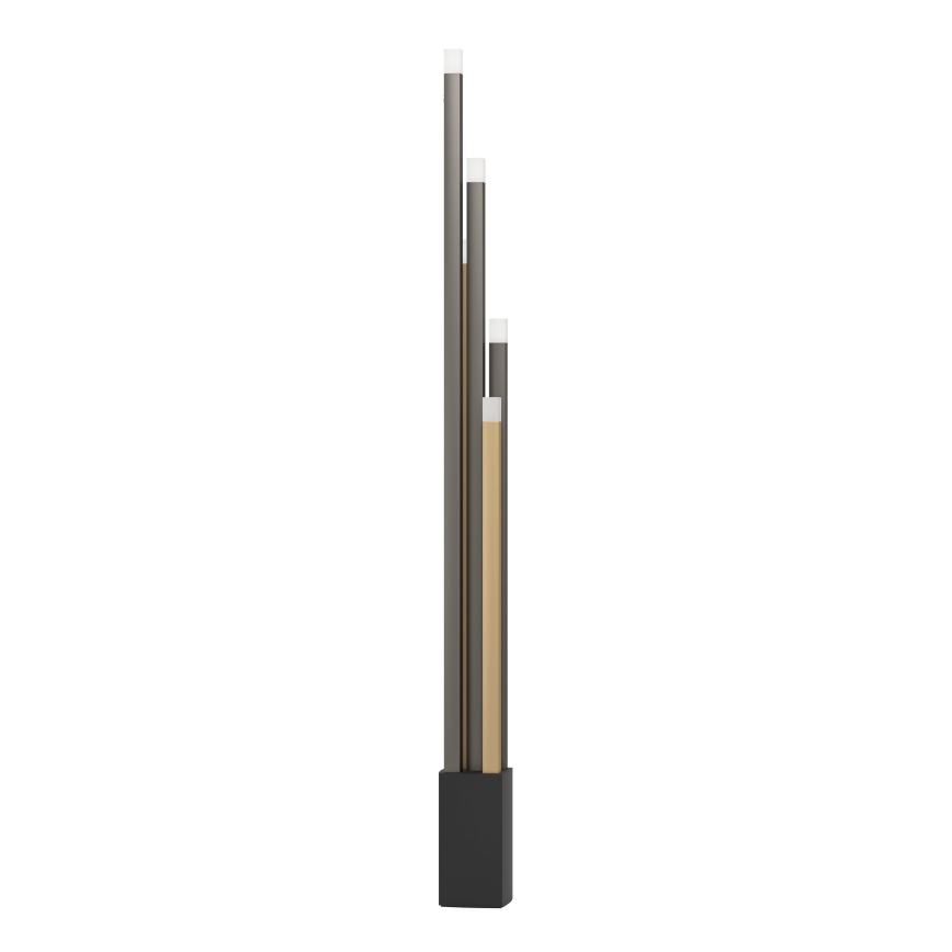 Eglo - Dimmbare LED-Stehleuchte 5xLED/3,7W/230V 3000K anthrazit/golden