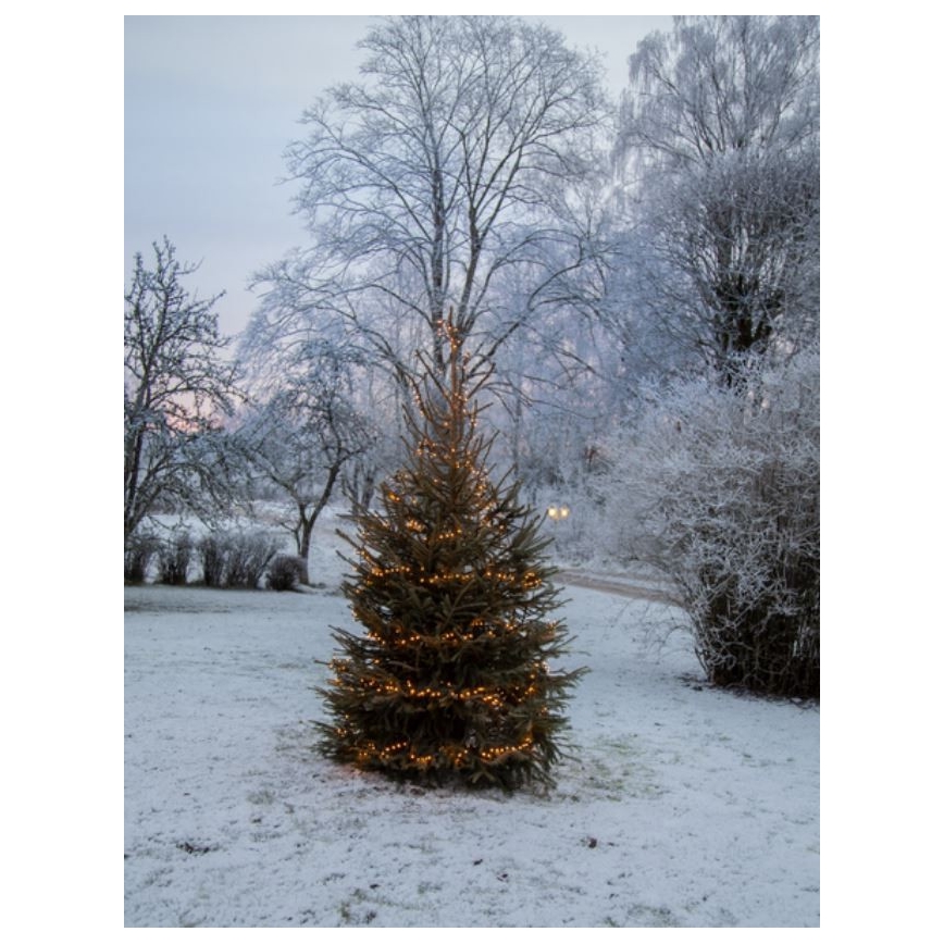 Eglo - LED Außen-Weihnachtslichterkette 1200xLED 29m IP44 warmweiß