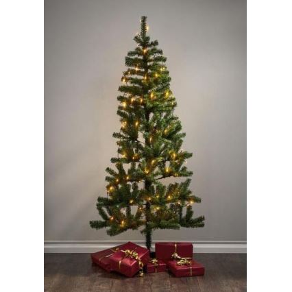 Eglo - LED Außen-Lichterkette 80xLED 10,5m IP44 warmweiß