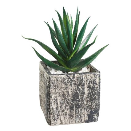 Eglo - Kunstpflanze im Blumentopf 13x9,5 cm Sukkulente