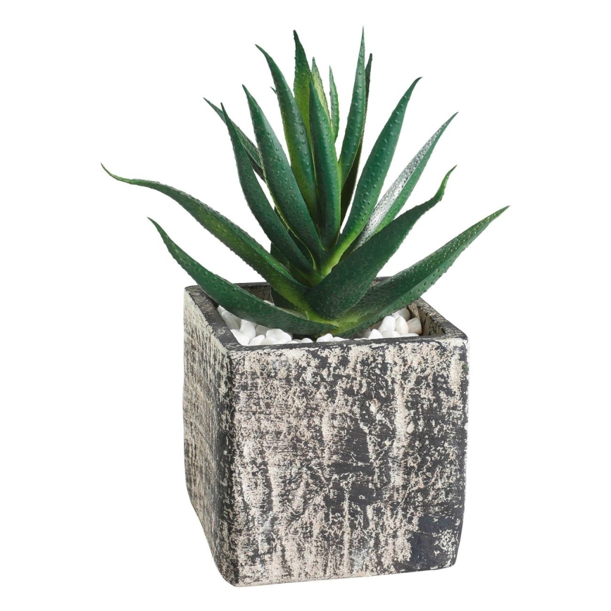 Eglo - Kunstpflanze im Blumentopf 13x9,5 cm Sukkulente
