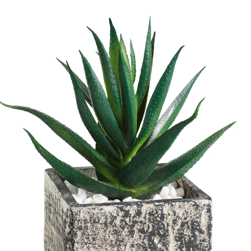Eglo - Kunstpflanze im Blumentopf 13x9,5 cm Sukkulente