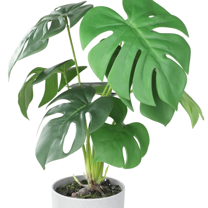 Eglo - Kunstpflanze im Blumentopf 42x30 cm Monstera