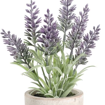 Eglo - Künstliche Pflanze im Blumentopf 22x8 cm Lavendel