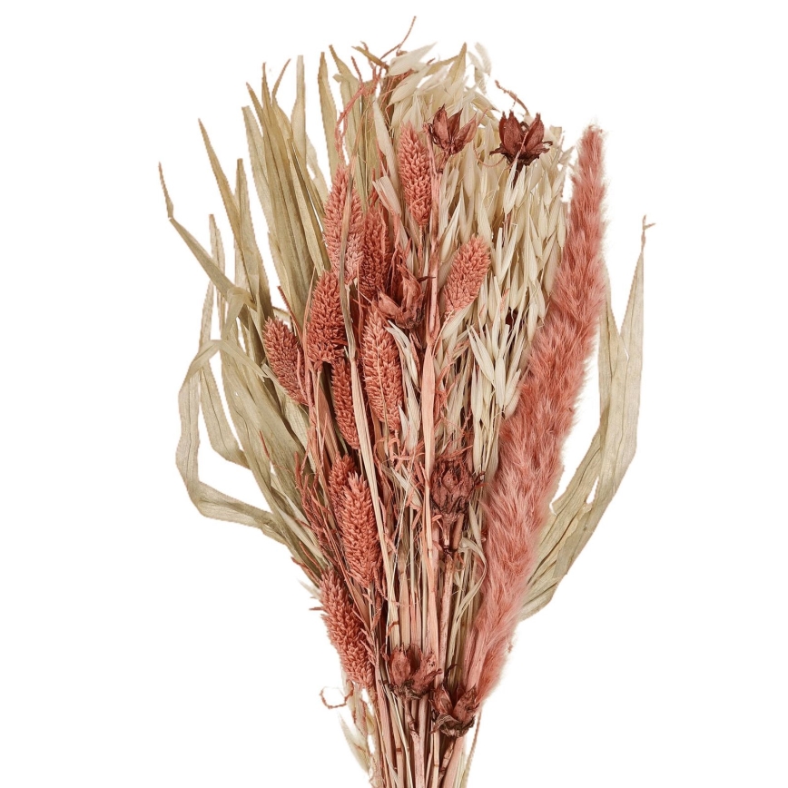 Eglo - Getrocknete Blume 60 cm orange