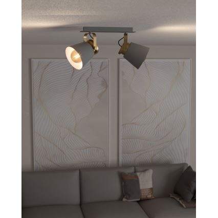 Eglo - Deckenstrahler 2xE27/40W/230V