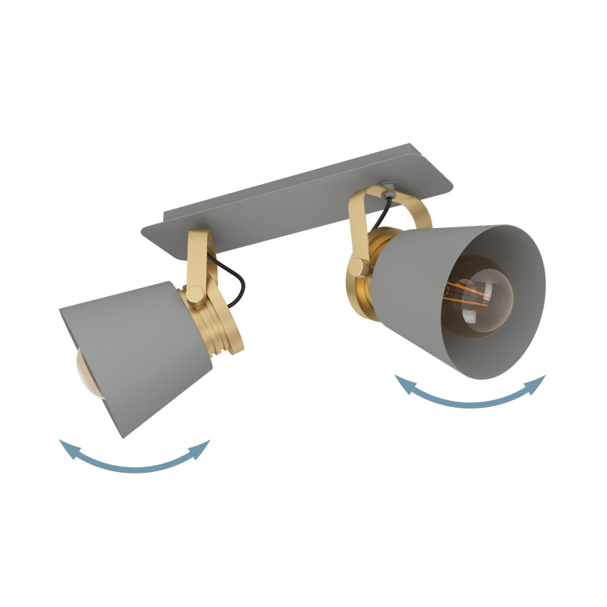 Eglo - Deckenstrahler 2xE27/40W/230V