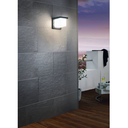 Eglo 65046 - LED-Outdoor-Wandleuchte DESELLA PRO LED/10W/230V IP54 anthrazit