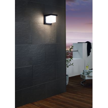 Eglo 65046 - LED-Outdoor-Wandleuchte DESELLA PRO LED/10W/230V IP54 anthrazit