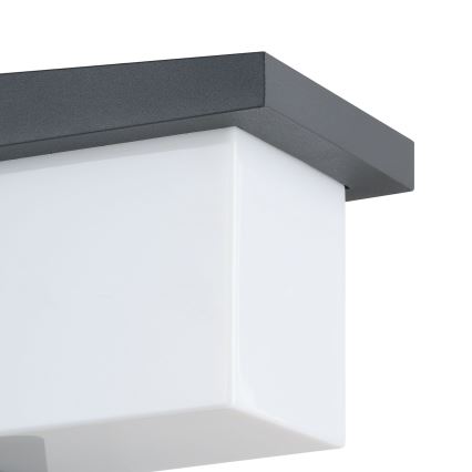 Eglo 65046 - LED-Outdoor-Wandleuchte DESELLA PRO LED/10W/230V IP54 anthrazit